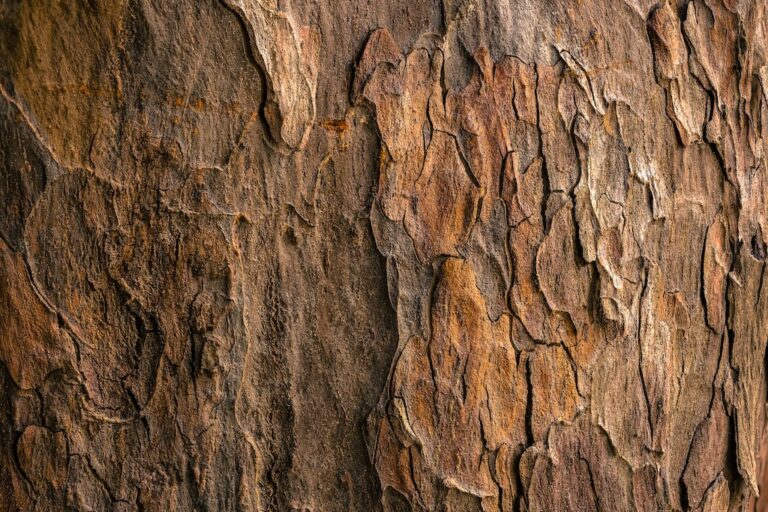 Handelsvertreter Holz